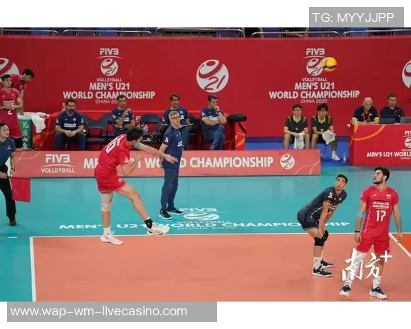 男排对决巴西与法国谁能夺得胜利精彩赛事即将上演